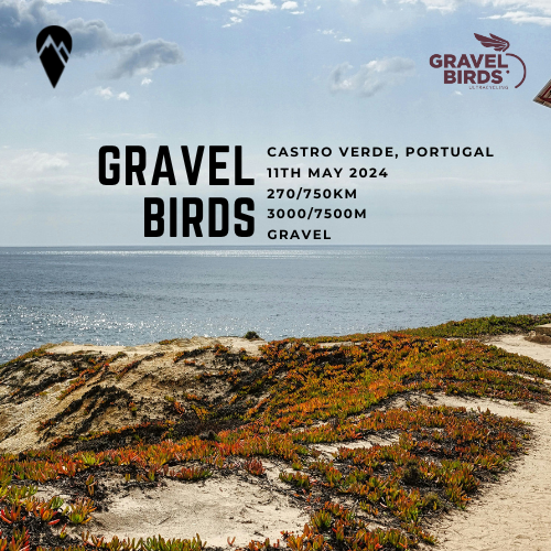 Gravel Birds 2024