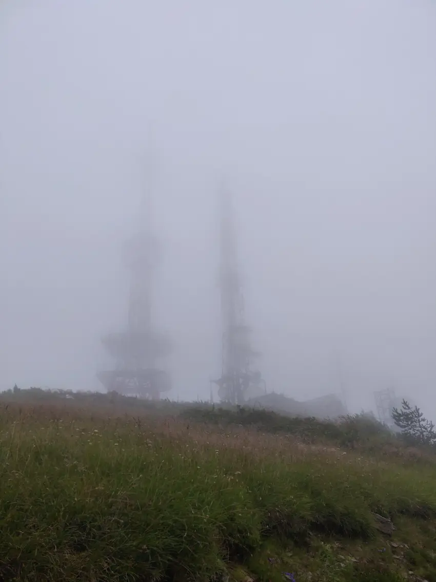 IMG 20190729 173539