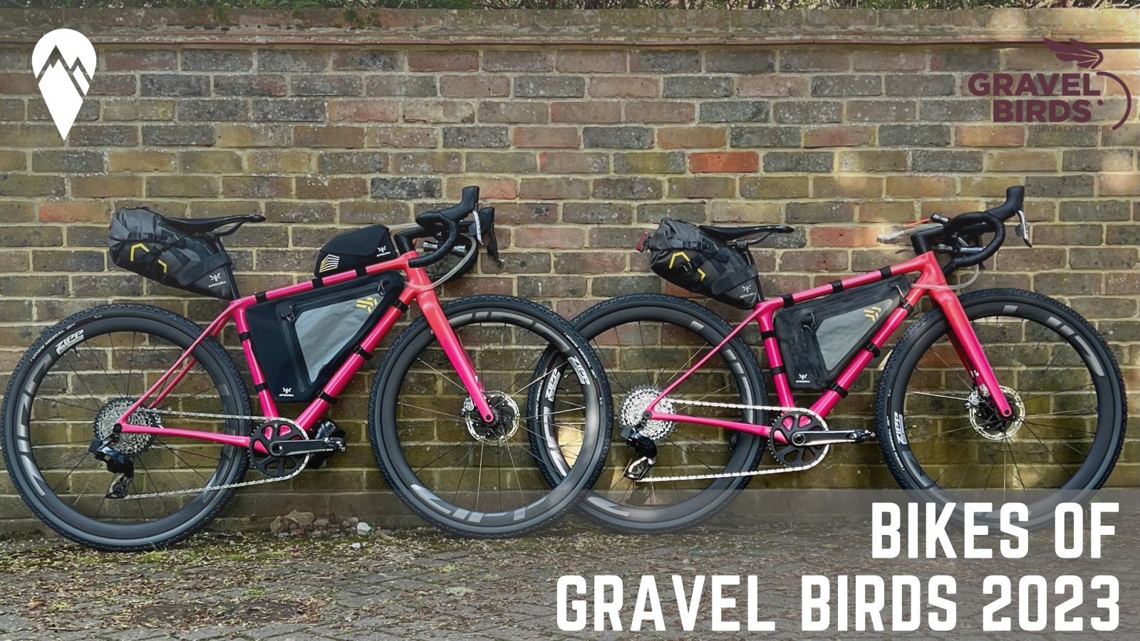 Bikes of Gravel Birds 2023 Bikes of Gravel Birds 2023