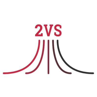 2VS Logo