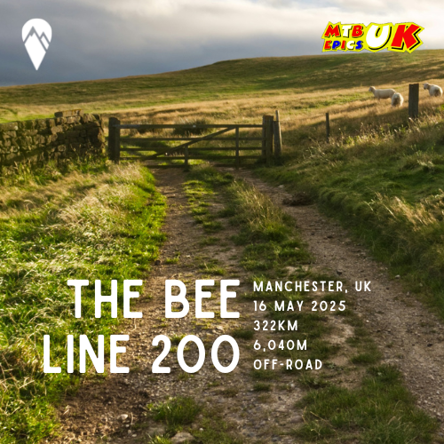 The Bee Line 200 2025 Tracking and Commentary - DotWatcher.cc