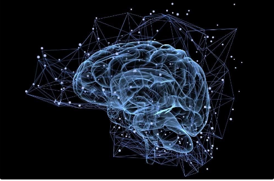 人們擁有記憶的目的，是要讓你能記住美好的事物