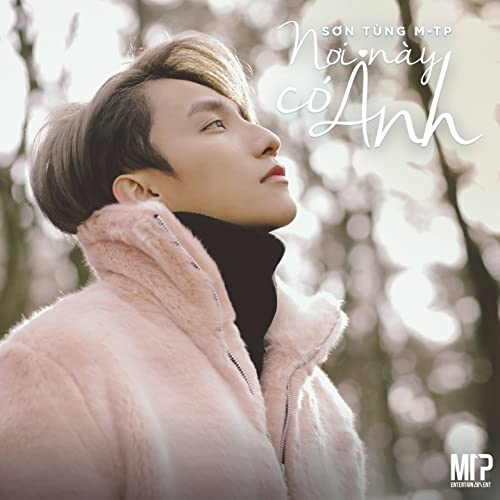 聽音樂，學越文 Vol.5 有我在這 (Nơi này có anh) -山松MTP (Sơn Tùng M-TP) 