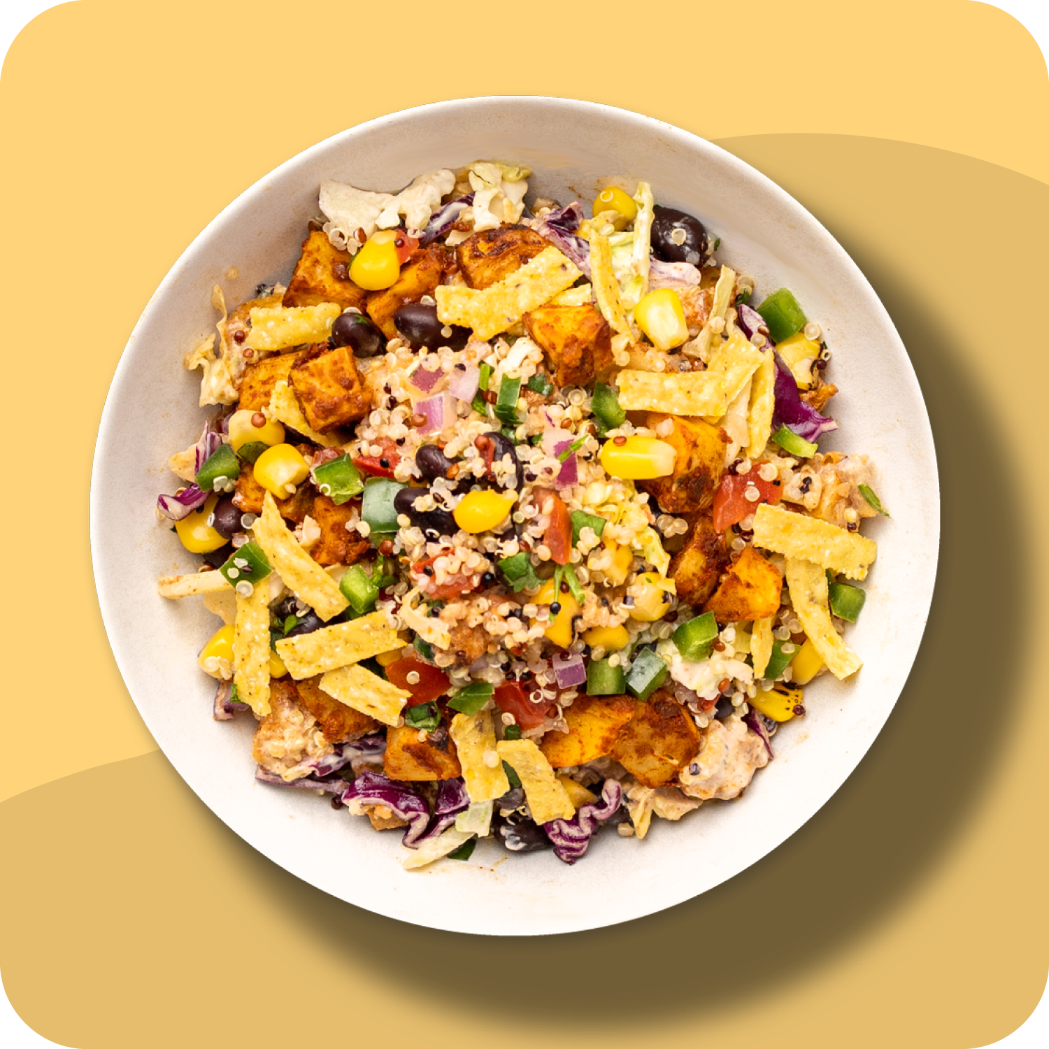 Top down image of the Baja Bowl.