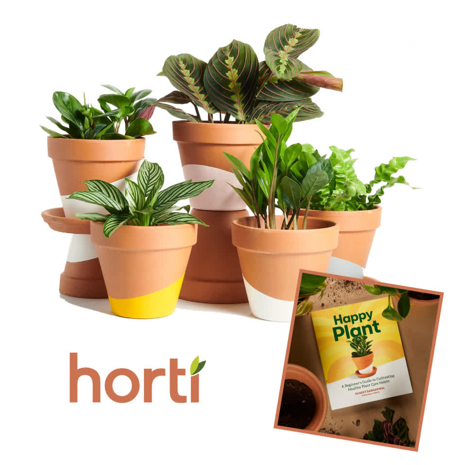 Image of potted plants, a book, and the horti logo.