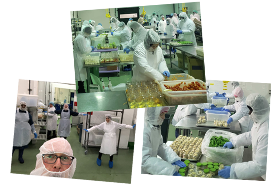 A collage of photos of our production facility.