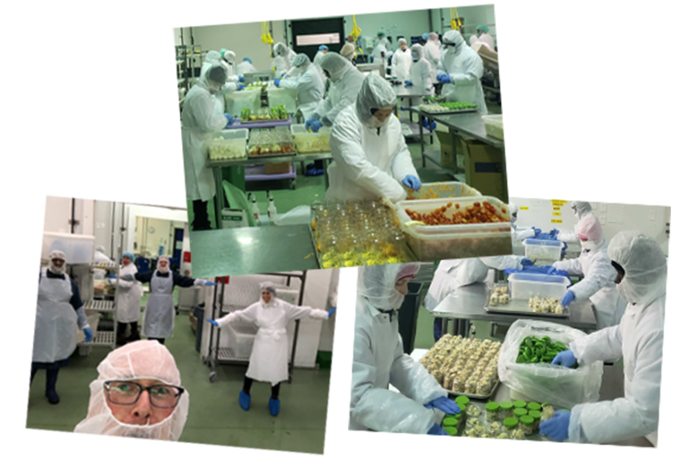 A collage of photos of our production facility.