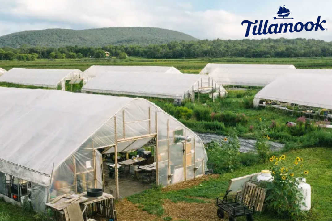 A photo one of Tillamooks farms