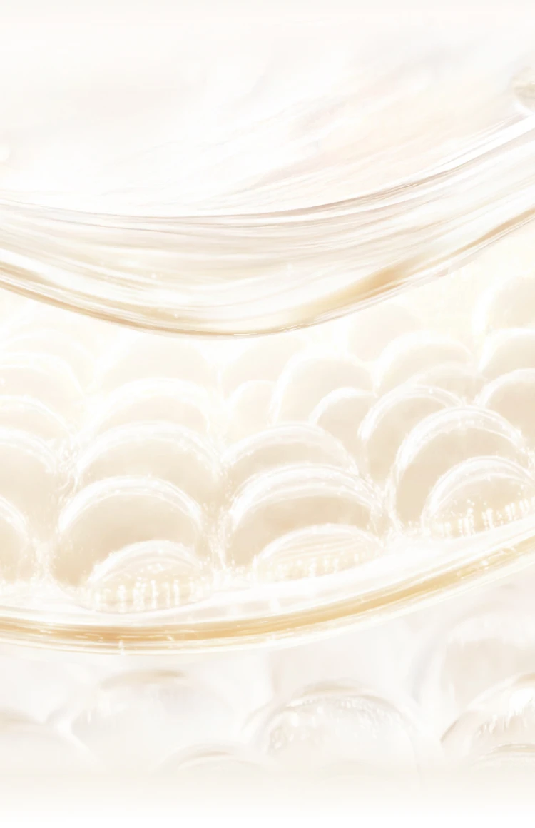 PED - PITERA™ Layer - BG Image