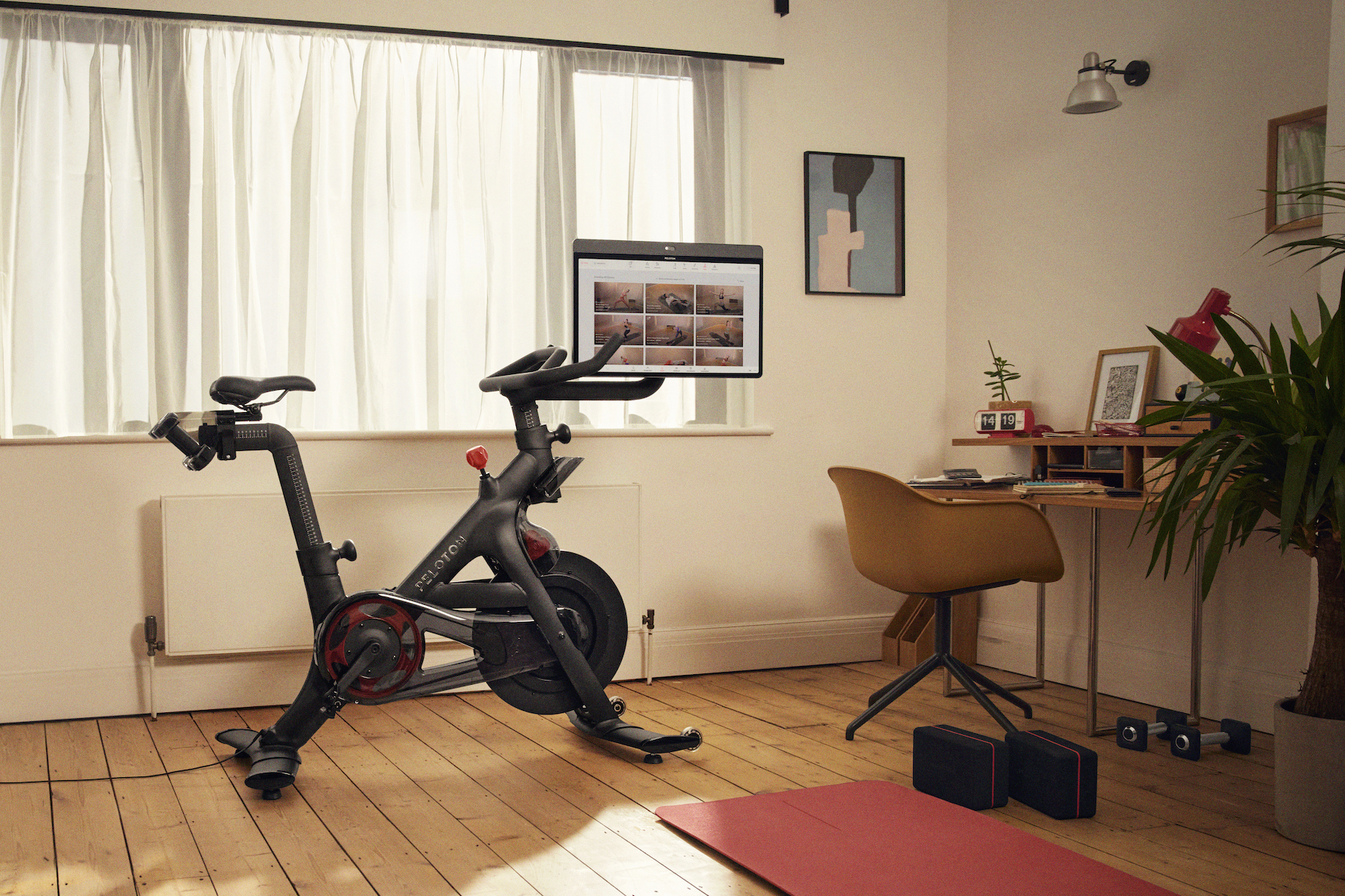 Considering a Refurbished Peloton Bike or Bike+? Here's What to ...