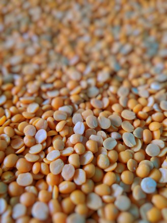 Sustainable soya lentils 