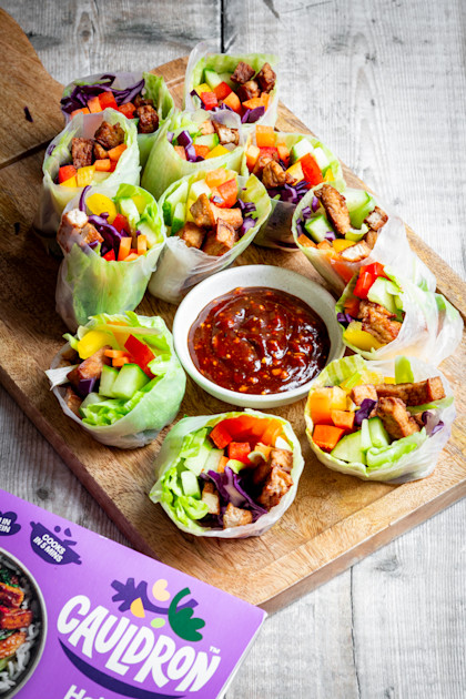 Tofu Summer Rolls | Vegan Sides Recipes | Cauldron
