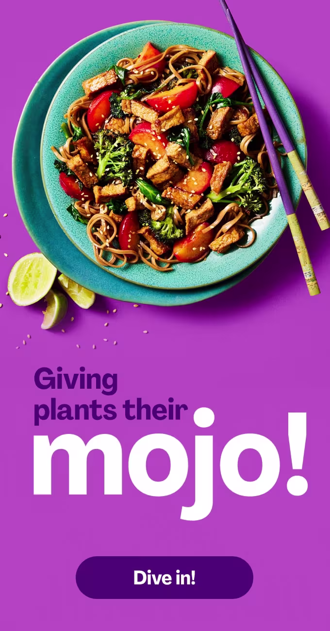 Carousel image of a noodles dish made with Cauldron Tofu alongside red pepper and broccoli served on a blue dish with purple chopsticks on the side, with text reading 'giving plants their moji!' all on a purple background.