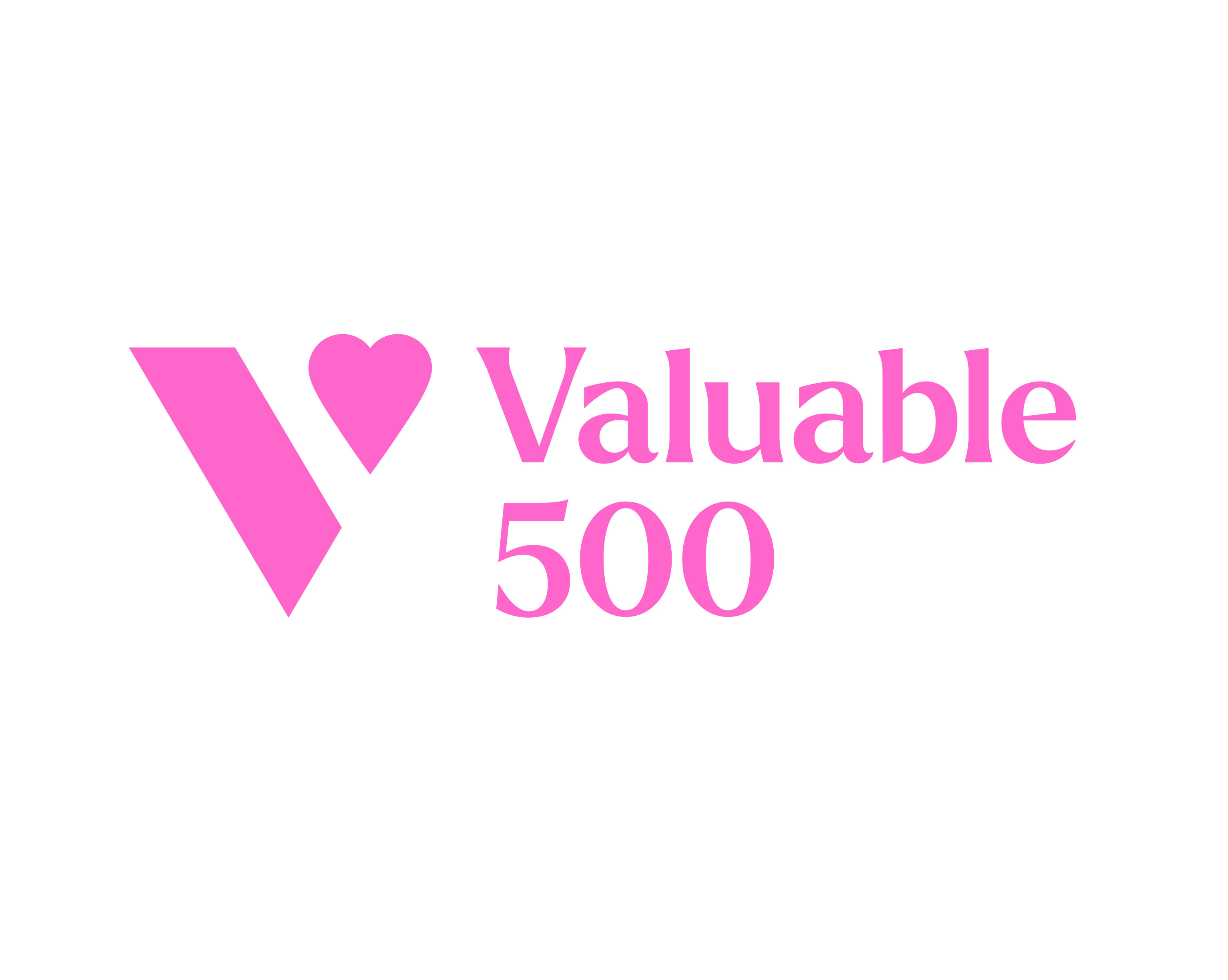 Logo Valuable 500