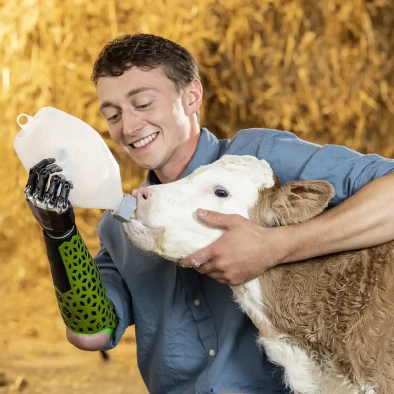 Farmer Wolfgang is using his bebionic prosthetic hand to feed a calf with a milk bottle.