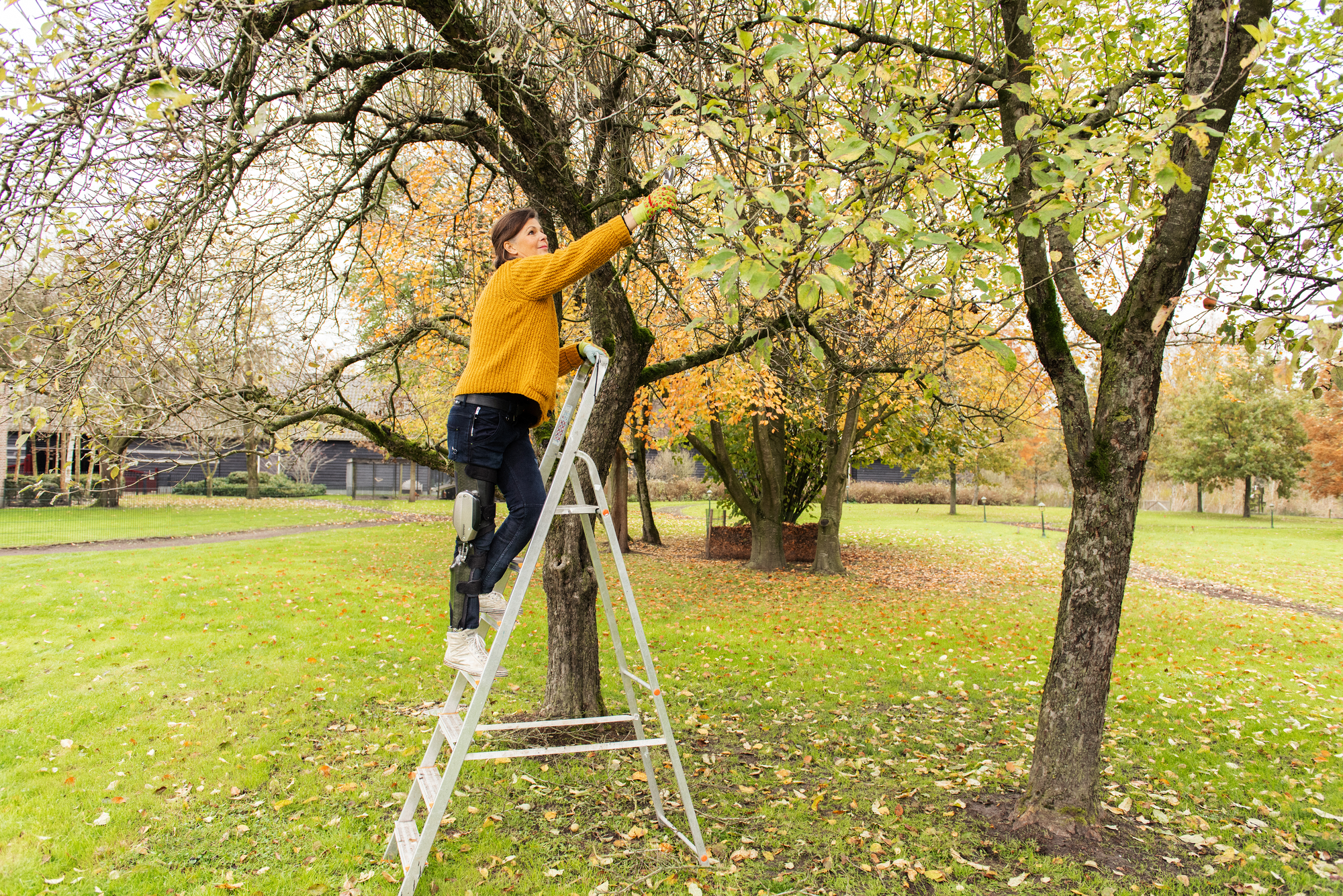 C-Brace orthosis user Marjan stands on the ladder and cuts branches
