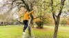 C-Brace orthosis user Marjan stands on the ladder and cuts branches