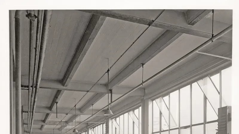 Fabricating prostheses in Duderstadt