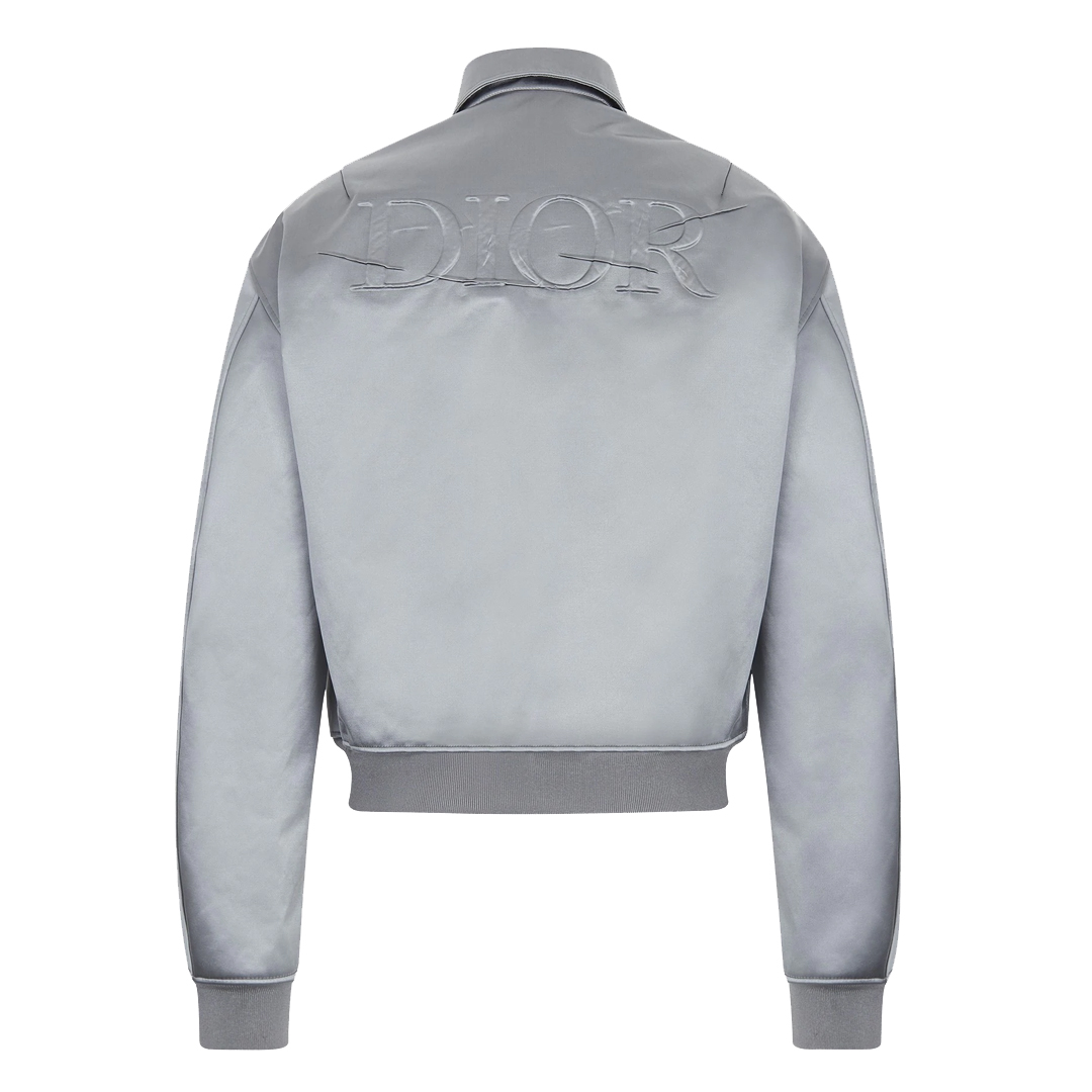 dior daniel arsham jacket