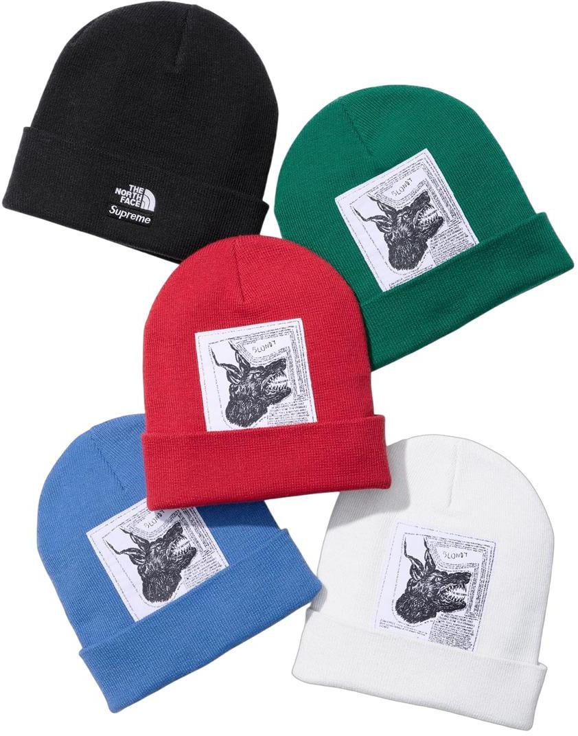 SUPREME ×The North Face Raymond Pettibon 10-13.jpg