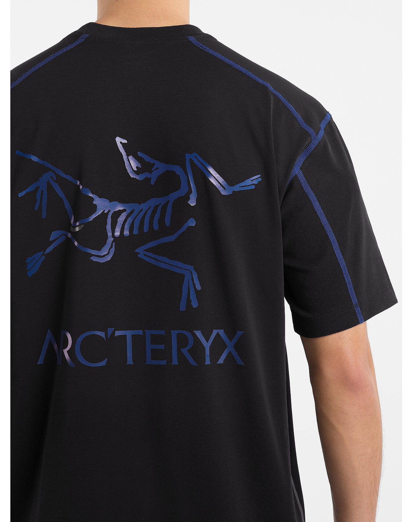 ARC´TERYX System_A Copal Bird T Shirt-