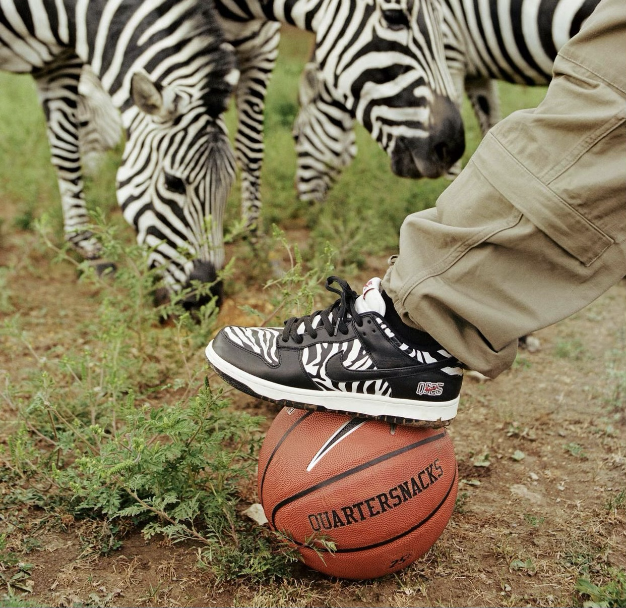 Nike SB Drop Zebra-Striped Quartersnacks SB Dunk Low This Week - SLN  Official