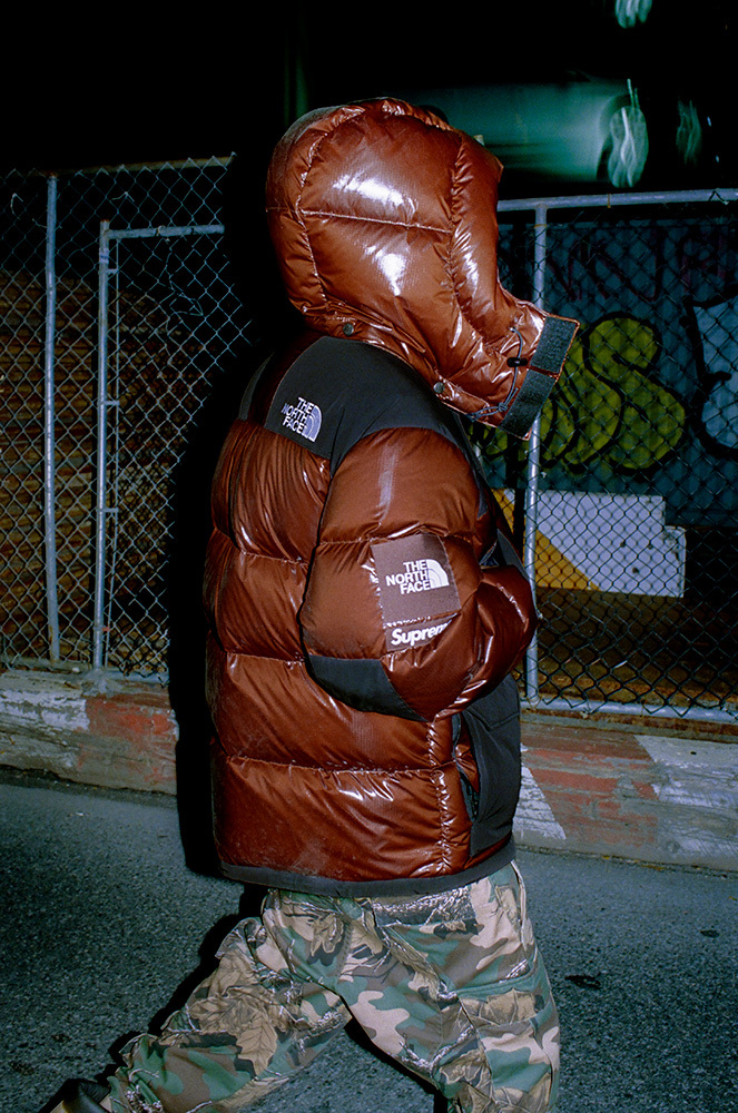 Supreme Reveal Winter The North Face Collection with Moulded Logos