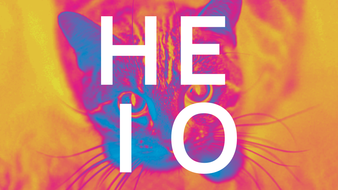 250004 Hybrid Election Interference Observation