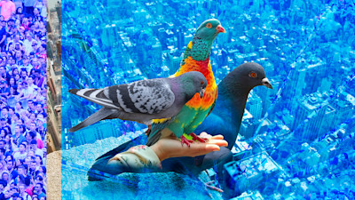 BEP - 252000 - Project - Van Responsible AI naar Explainable AI bij het begrijpen van het online publieke debat