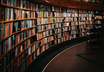 Liggend - project 252013 |DiBiLi - Diagnosing Bias in Library Recommender Systems emil-widlund-xrbbXIXAWY0-unsplash.png