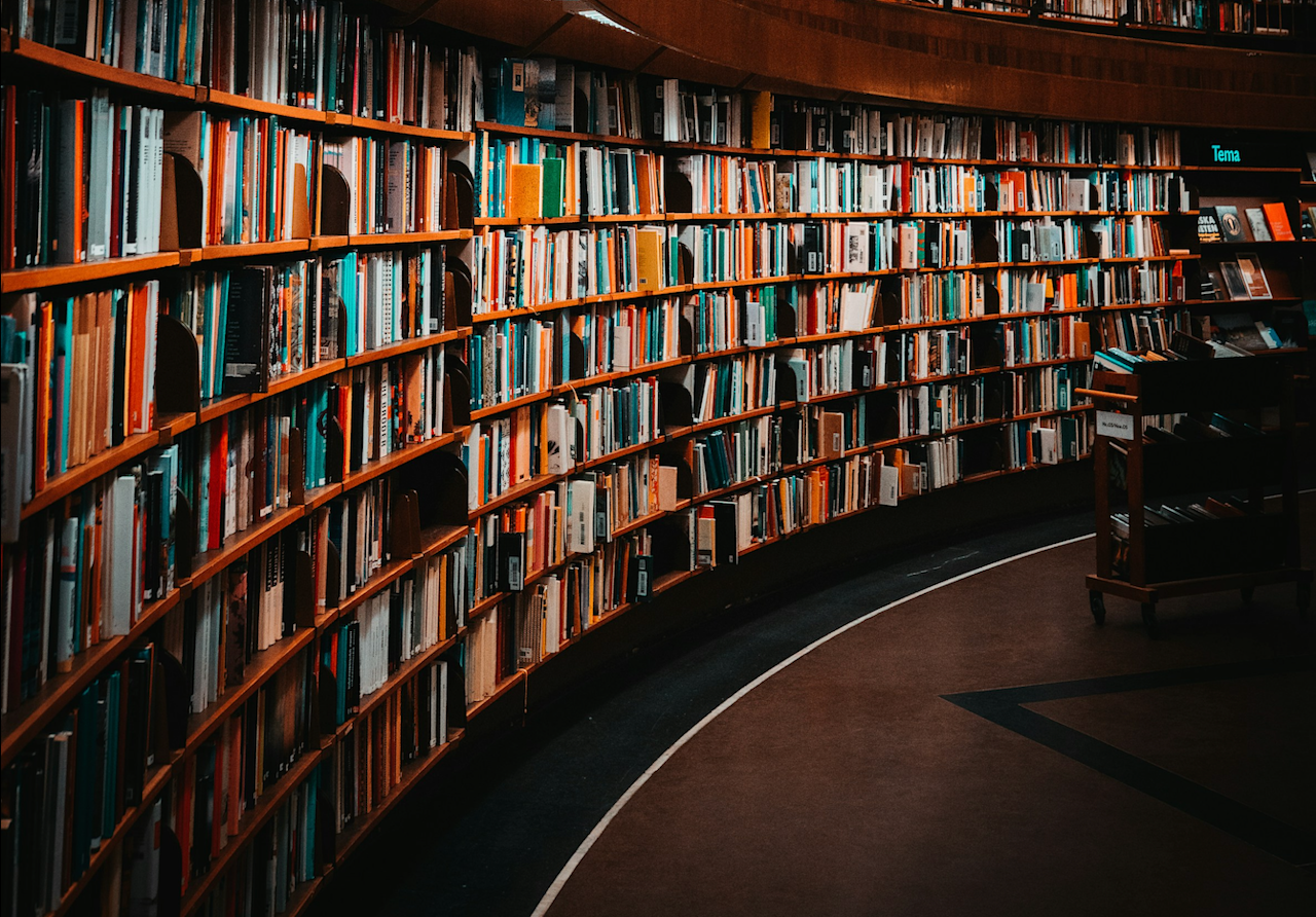 Liggend - project 252013 |DiBiLi - Diagnosing Bias in Library Recommender Systems emil-widlund-xrbbXIXAWY0-unsplash.png