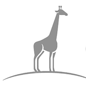 Giraffe_440