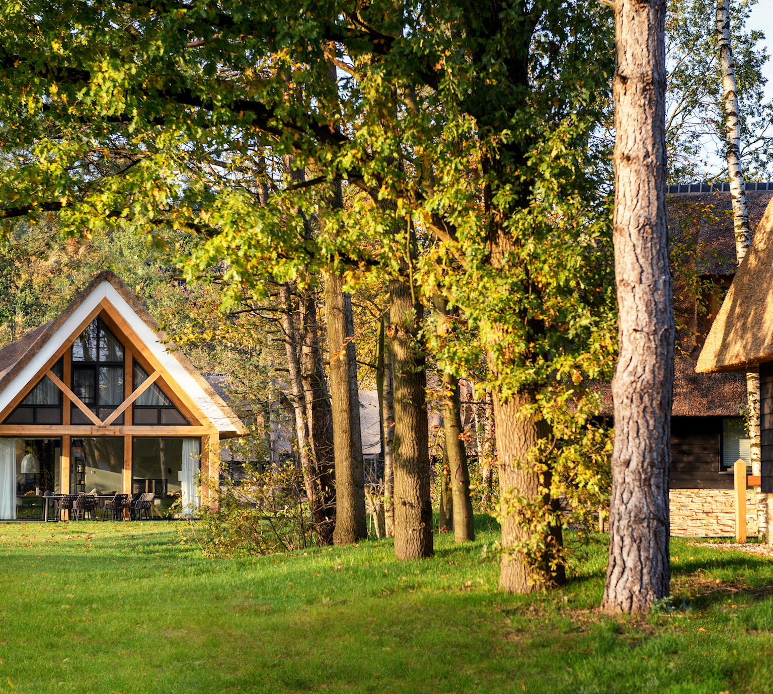 Sprokkelveld Villa PUUR Exloo