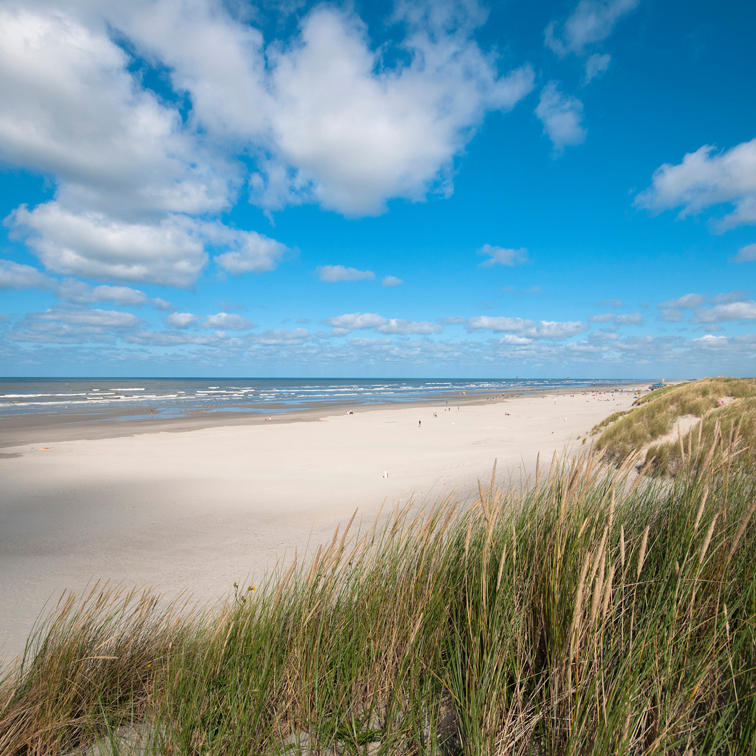 eillandvilla's ameland - duin en strand