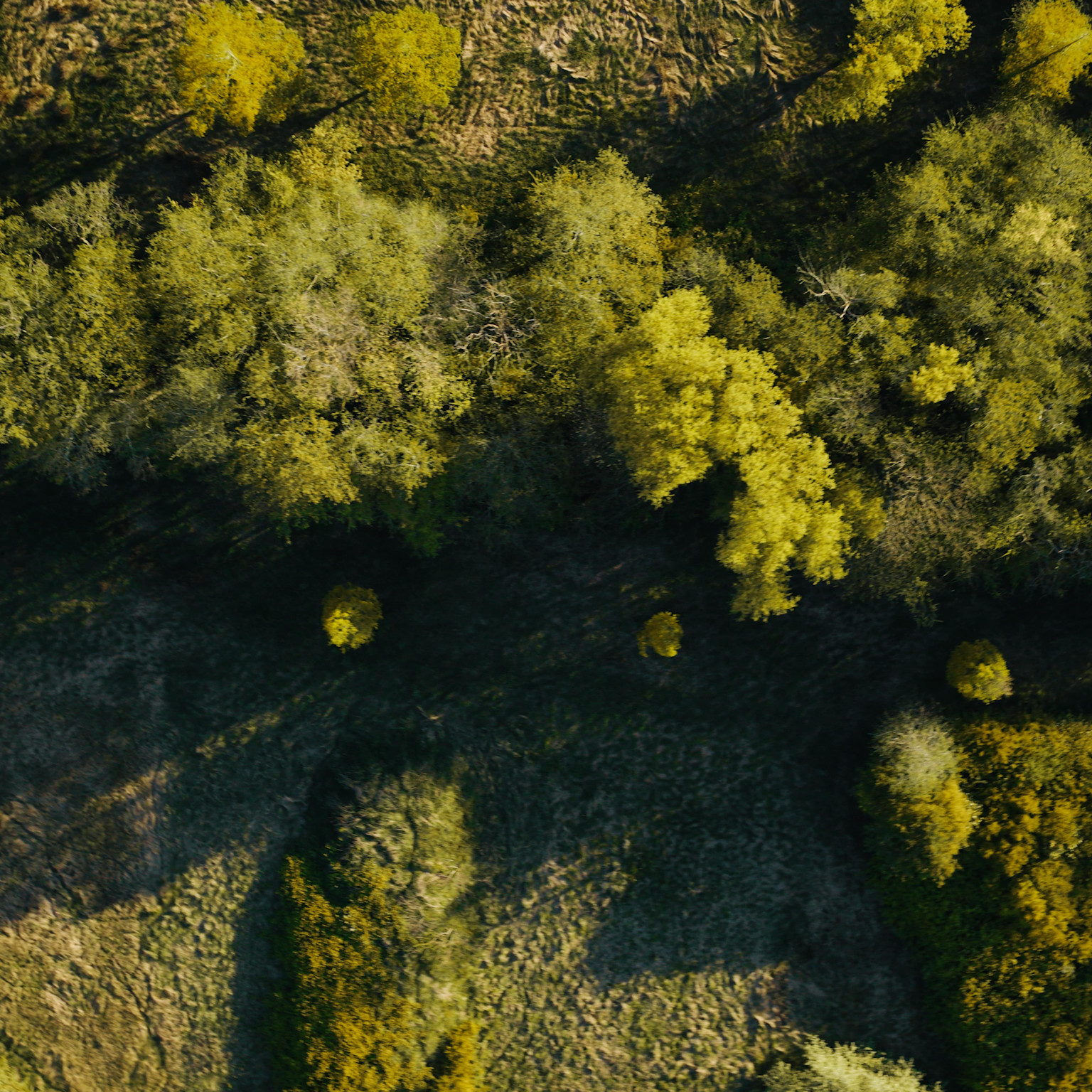 Nortº Teaser Still - 12 (Bewerkt)-min