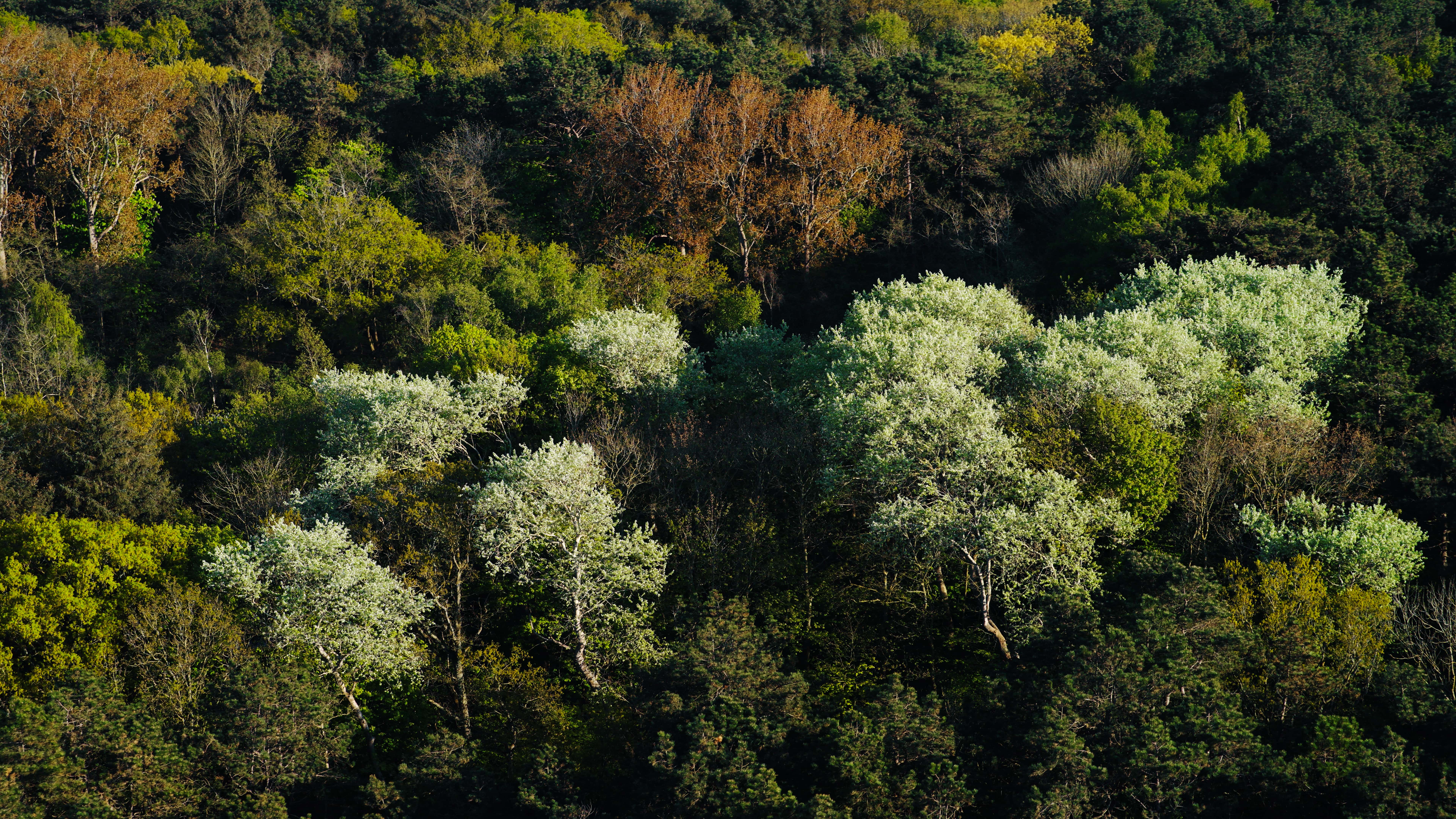 Nortº Teaser Still - 6 (Bewerkt)-min