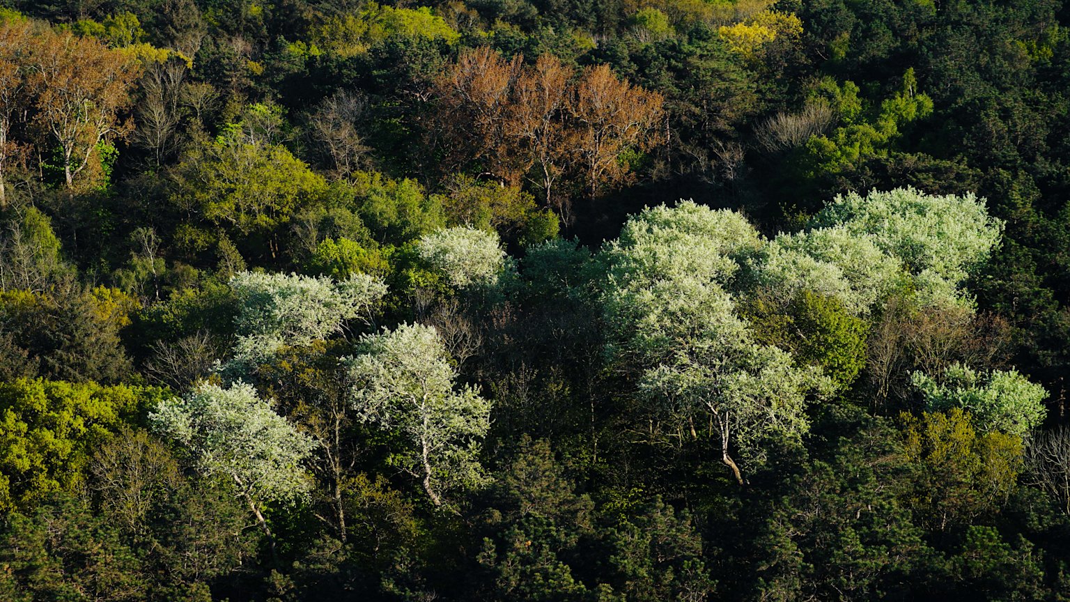 Nortº Teaser Still - 6 (Bewerkt)-min