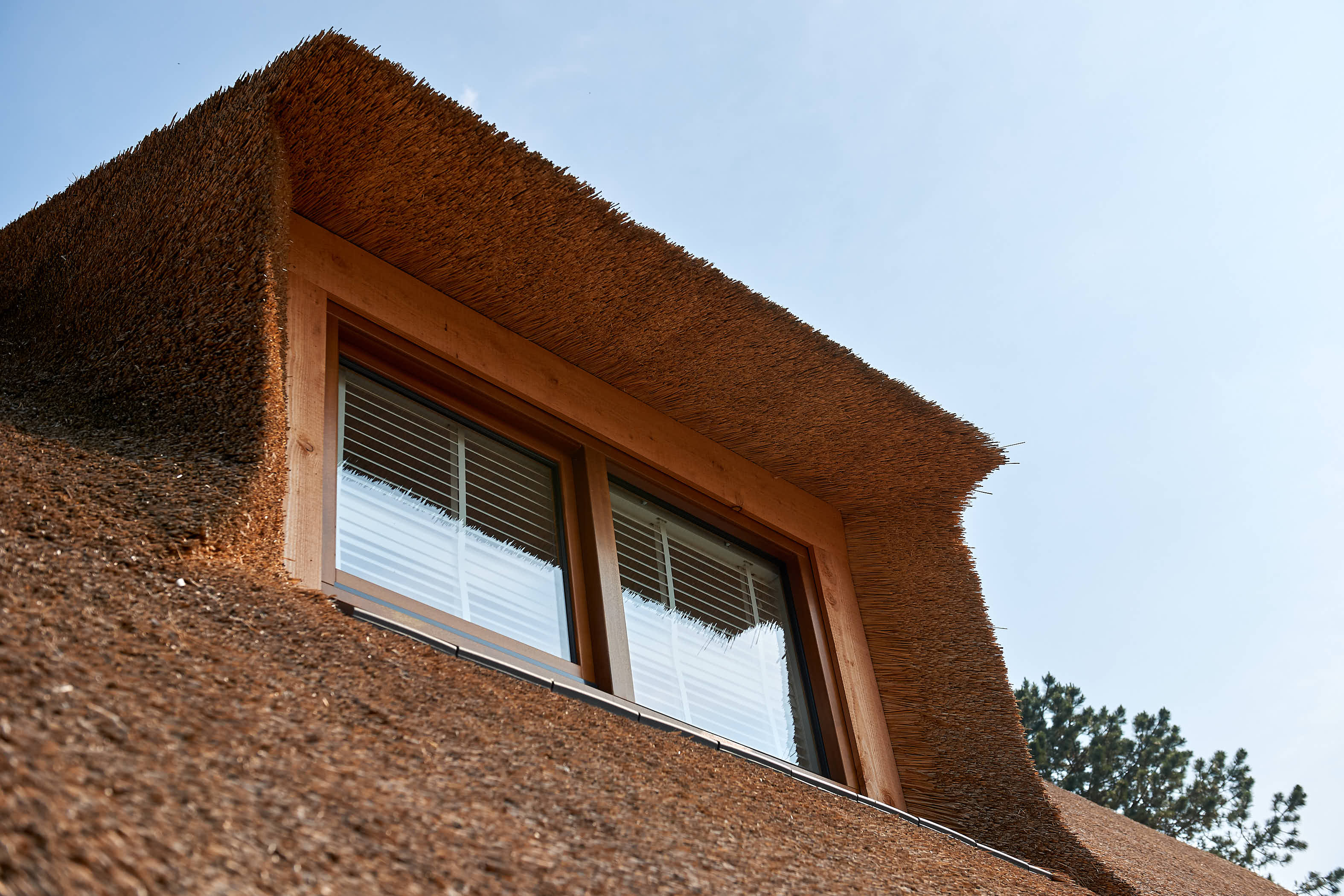 Detail rieten kap PUUR Exloo