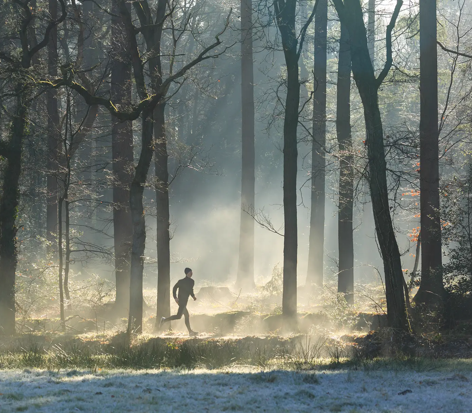 weidebos-hardlopen