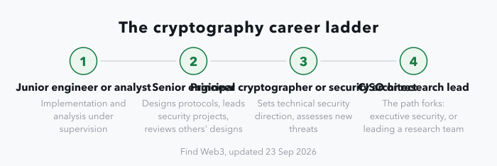 A four-stage career ladder: junior cryptography engineer or analyst doing implementation and analysis under supervision; senior cryptography engineer designing protocols and leading security projects; principal cryptographer or security architect setting technical security direction and assessing new threats; then Chief Information Security Officer or research lead, where the path forks between an executive security role and leading a research team.