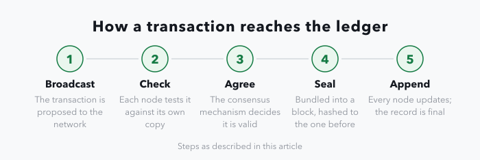 A five-stage strip showing how a transaction reaches a distributed ledger: it is broadcast to the network, checked by every node against its own copy, agreed by the consensus mechanism, bundled into a block and hashed to the block before it, then appended so every node updates and the record is final.