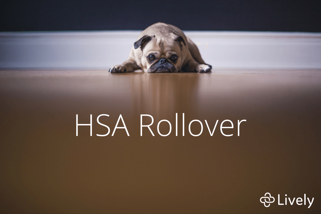 HSA Rollover What You Need to Know Lively