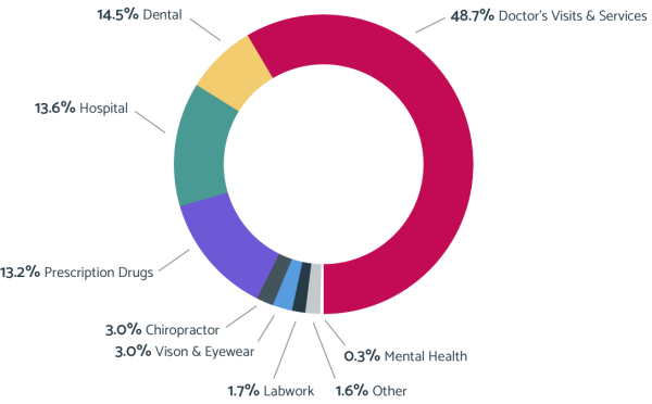 2020 HSA Consumer Spending