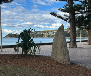 BeachfrontLandscaping