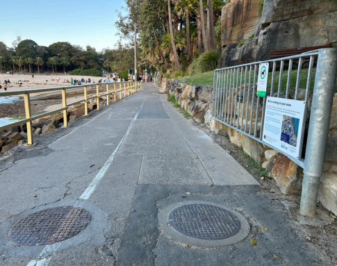 new gate at shelly