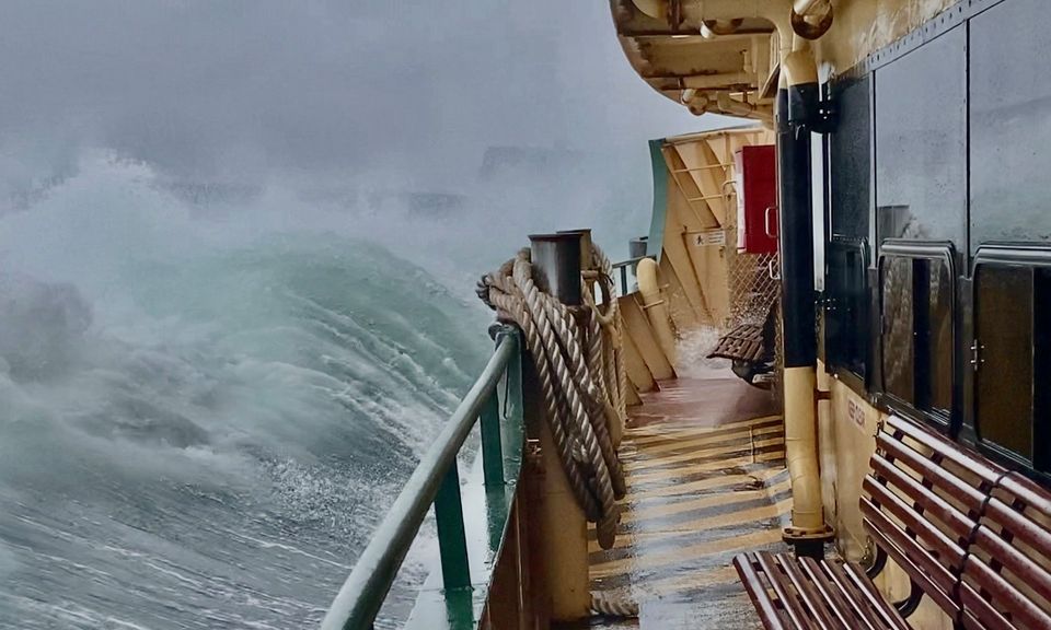 Save The Manly Ferry - updated | Manly Community Forum