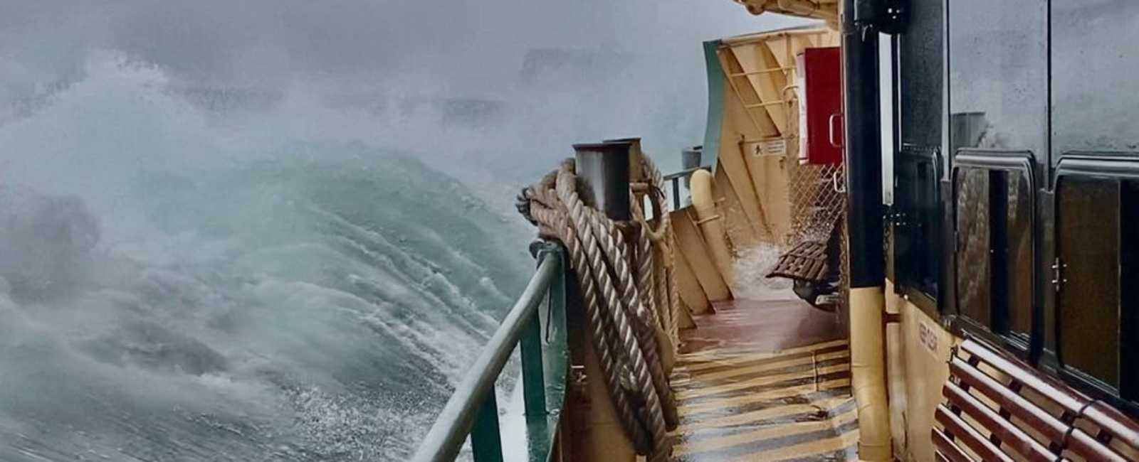 Manly Raft Save The Manly Ferry - updated | Manly Community Forum