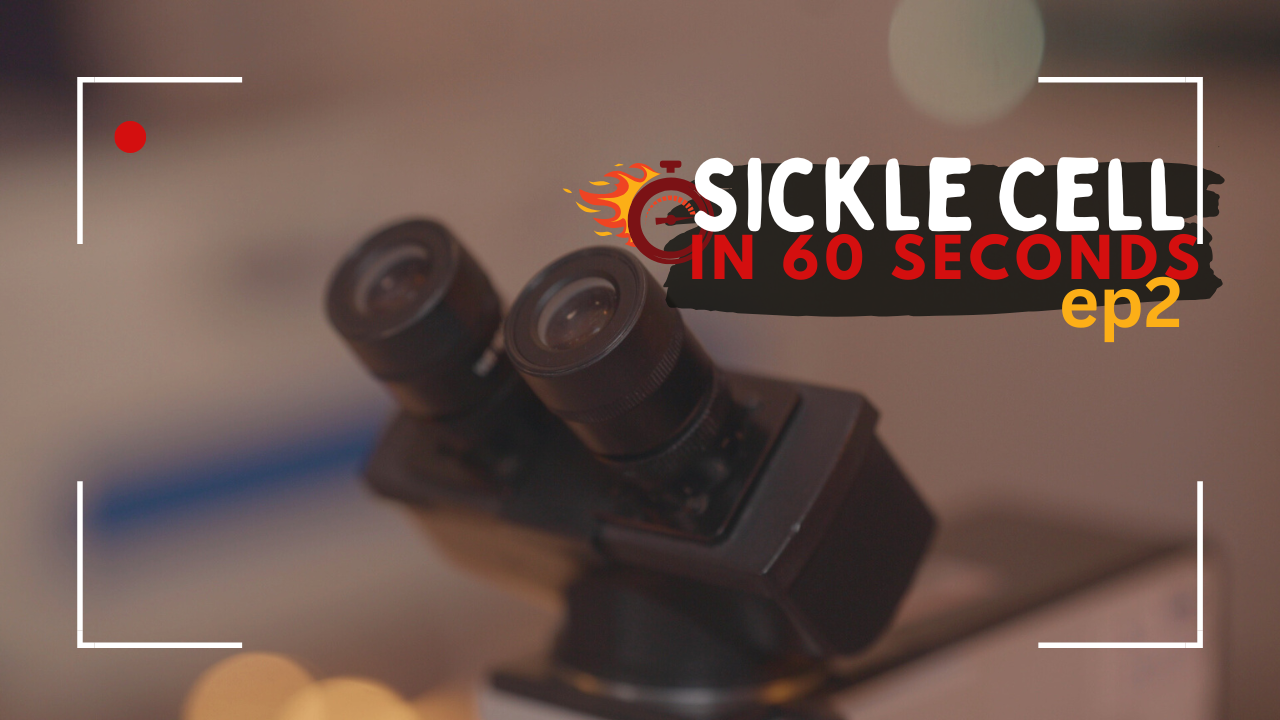 Sickle Cell in 60 Seconds: What is Gene Therapy?
