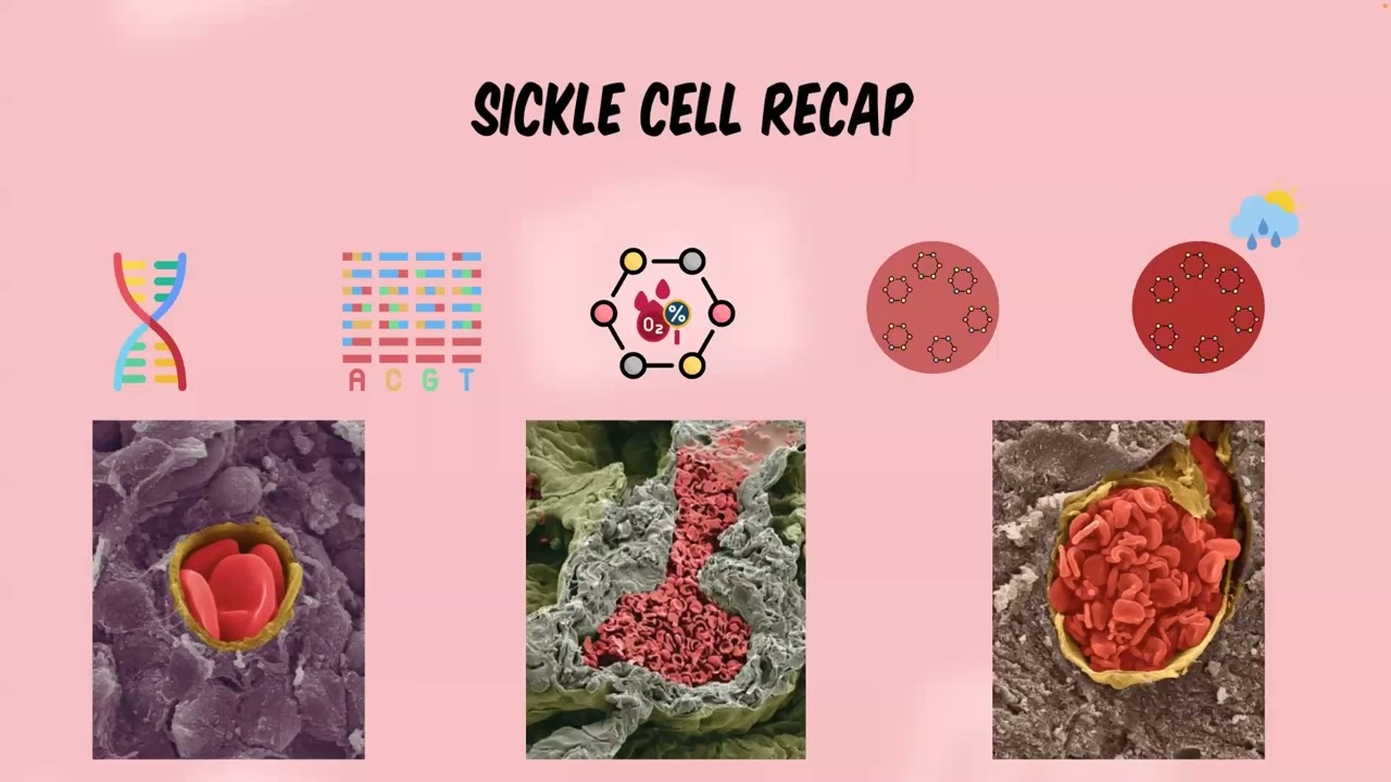 Episode 3: Treatments - How are they meant to treat me?