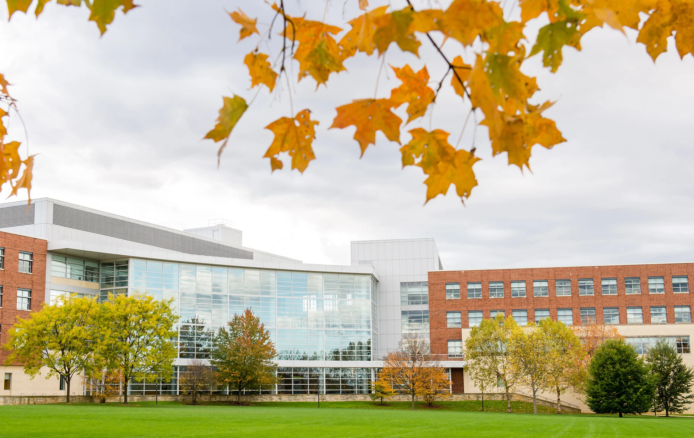 Business Building in the fall